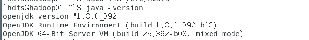 image-20240126191803042