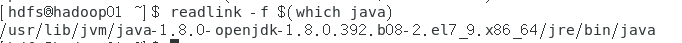 image-20240126195443067