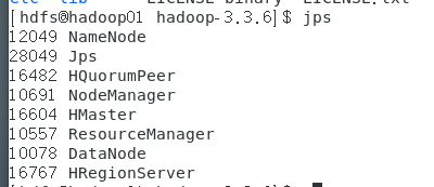 image-20240126204444006