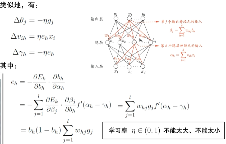 image-20240510200810549